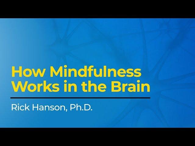 How Mindfulness Works in the Brain