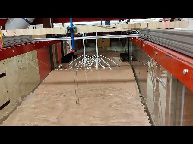 Wave Flume Testing: Wave Attenuation by Mangrove Lines