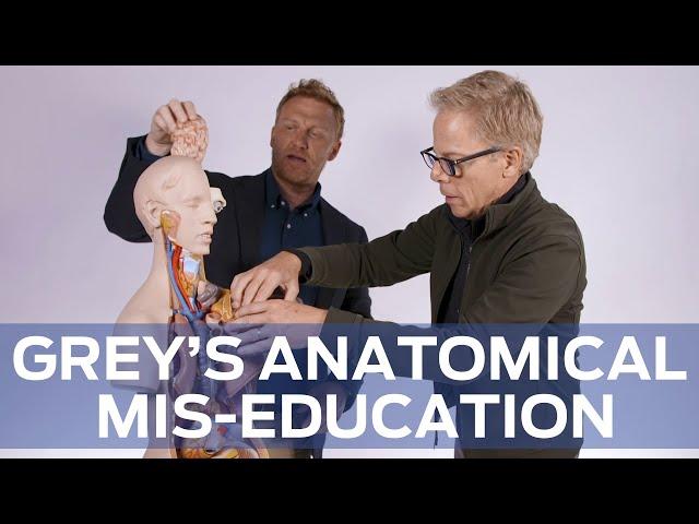 Anatomical Mis-Education with 'Grey's Anatomy''s Kevin McKidd and Greg Germann