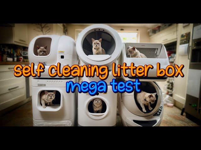 Self Cleaning Litter Box Mega Test: LITTER-ROBOT 4 REVIEW