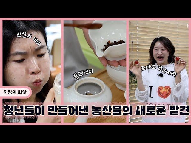 청년들이 만들어낸 농산물의 새로운 발견 | 생생투데이 사람과 세상 (KBS 2025.06.20. 금 방송)