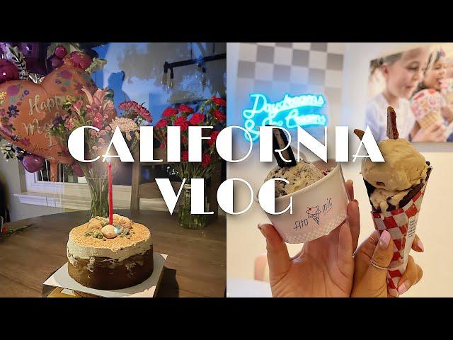 California VLOG 미국 일상 브이로그ㅣMother's Day 홈파티ㅣLA 한인타운 맛집ㅣ산낙지 탕탕이 손질법ㅣ음주가무 일주일ㅣWhat I Eat In A Week