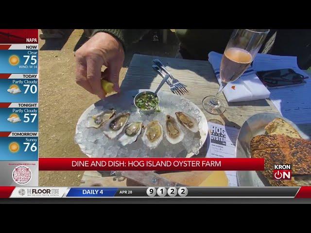 Dine % Dish: Hog Island Oyster Farm