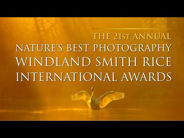 2016 Nature's Best Photography Awards