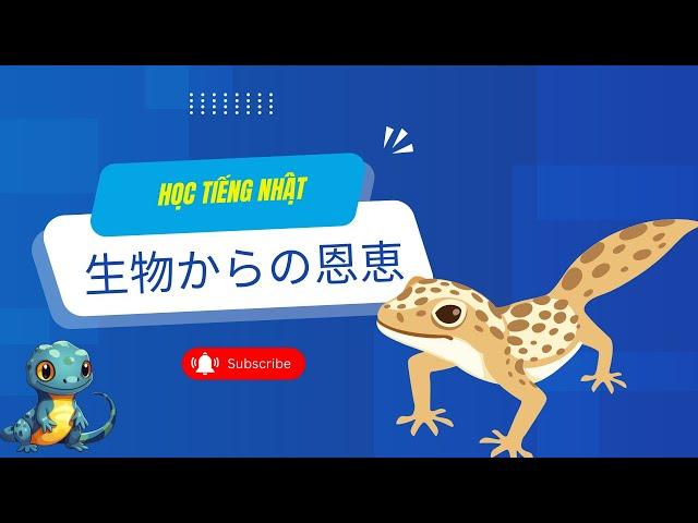 Học Tiếng Nhật Online Theo Chủ Đề || Lợi Ích Của Sinh Vật|| Luận Japan