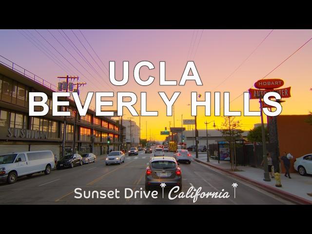 Driving the Sunset in LA: From Santa Monica to UCLA and Beverly Hills