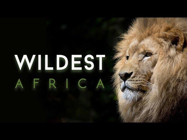 Okavango: Water in the Desert | Wildest Africa | 4K |