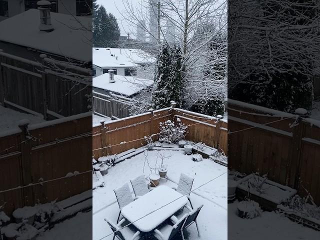 Snow Falling in Vancouver 2025