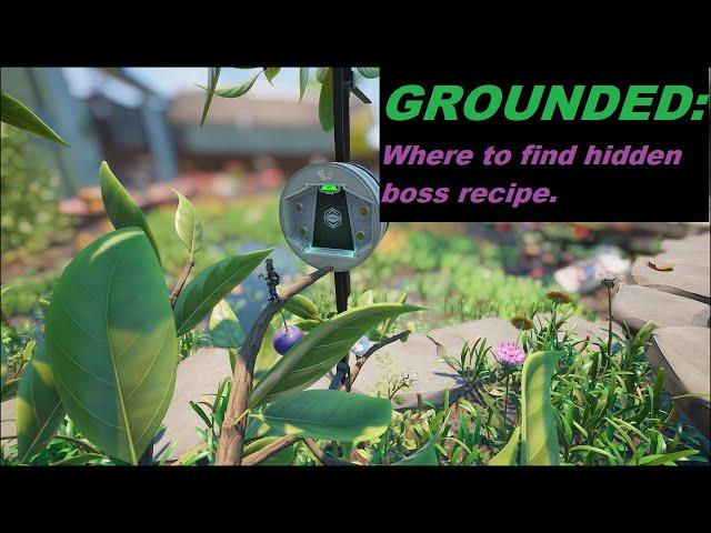 Grounded: Broodmother BLT recipe location.