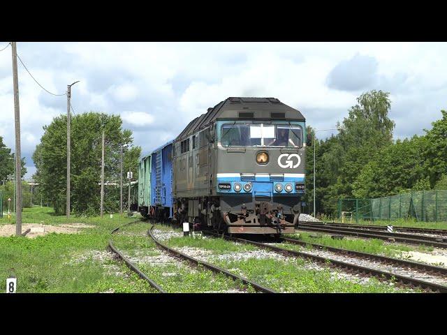 Тепловоз ТЭП70S-0229 на ст. Йыгева / TEP70S-0229 at Jõgeva station