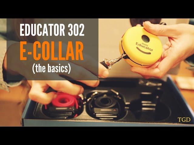 E-Collar Technologies Educator Mini Double Dog 302 Set Up