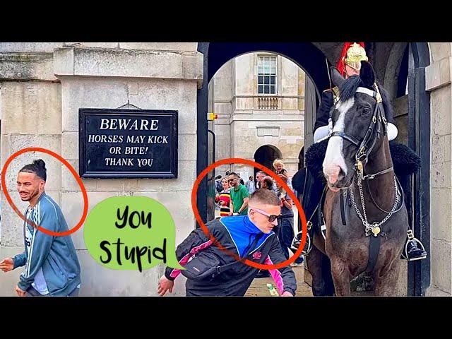 You Won't Believe What This "Stupid" Tourist Did