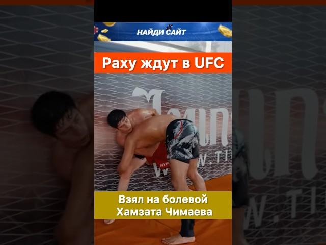 Раха Андийский получил контракт с UFC после схватки с Хамзатом Чимаевым.