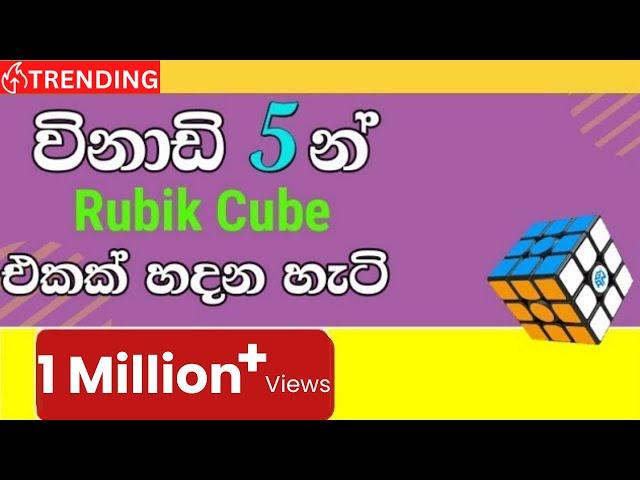 How to solve the Rubik cube in 5 minutes (Sinhala)   (1 Million+ Views)