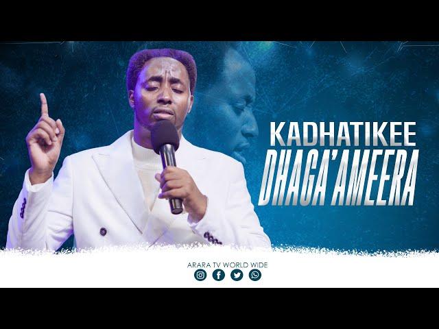 Kadhatikee Dhaga'ameera | Raajii Masarat Taayyee ||     @araratvworldwide