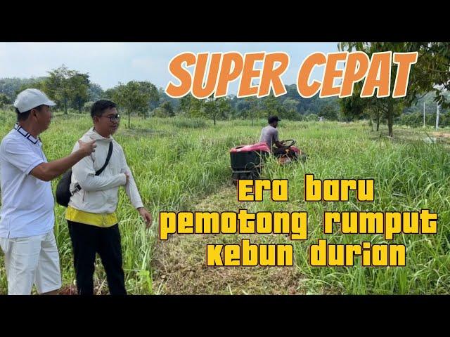 mobil pemotong rumput baru kebun RB