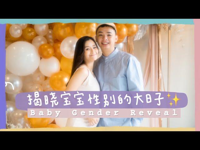 宝宝性别揭晓的大日子！Baby Gender Reveal！