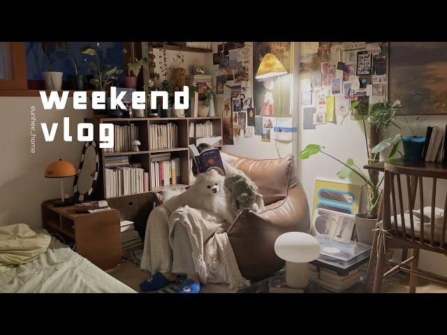 Weekend daily vlog: beer, reading