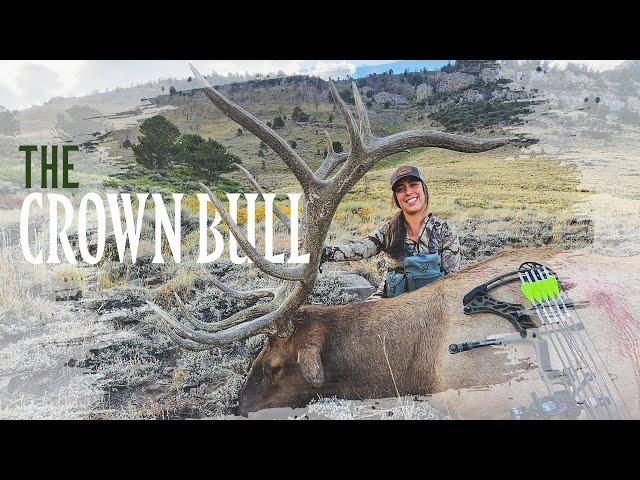 The Crown Bull | Danielle's Giant Elk With a Bow