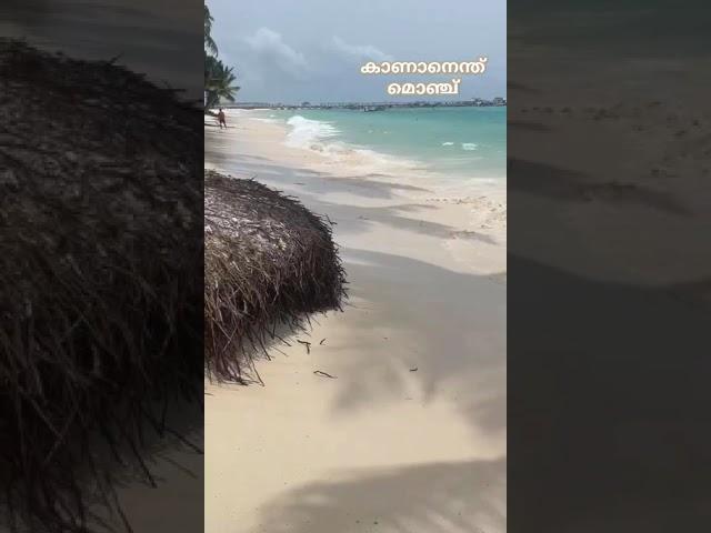 Beautiful scenery #Lakshadweep #Beautyfulbeaches