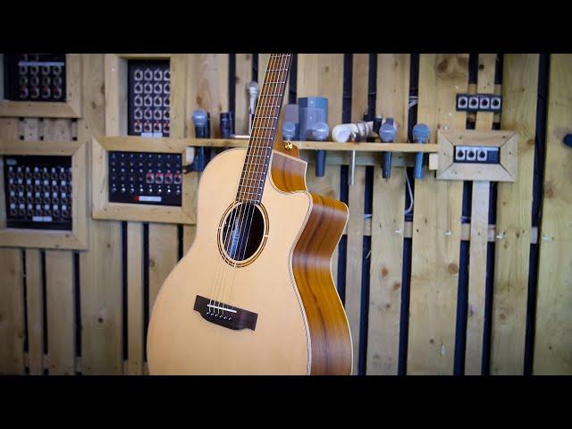 Vintage Virtuoso  Rory Evans Electro Acoustic REVIEW