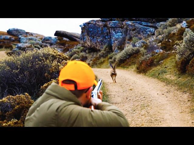 Hunting Partridges and Hares Season 2024/2025 PART 3-KHEMISSET -TIZITIN