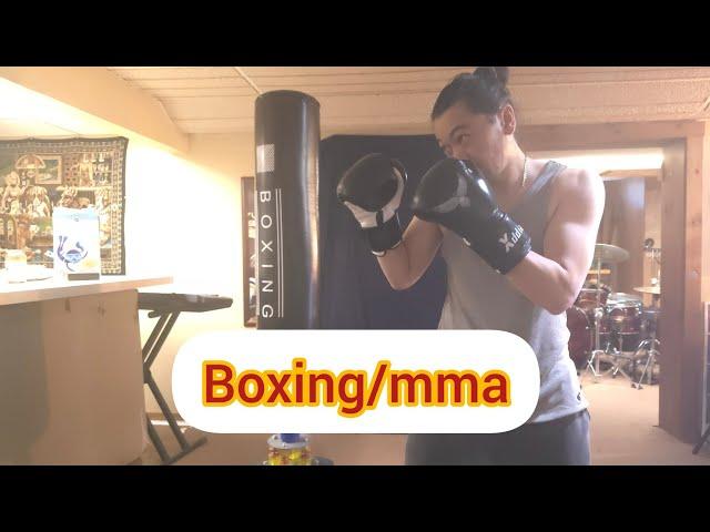 MMA / Boxing  Training at Home.