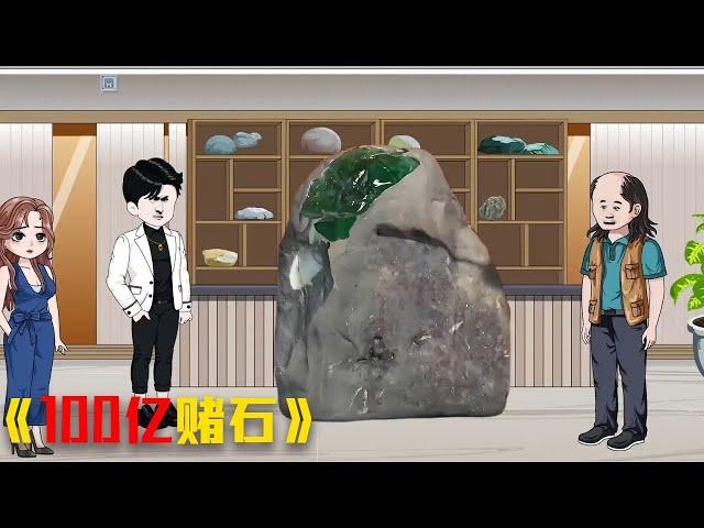 《做梦赚100亿赌石系列》一口气看完 #funny #video