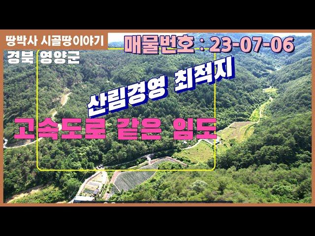 (23. 07. 06) 임도 개설이 시원하게 잘 형성이 되어 있는 임야. 주변시세 대비 저렴한  임야.