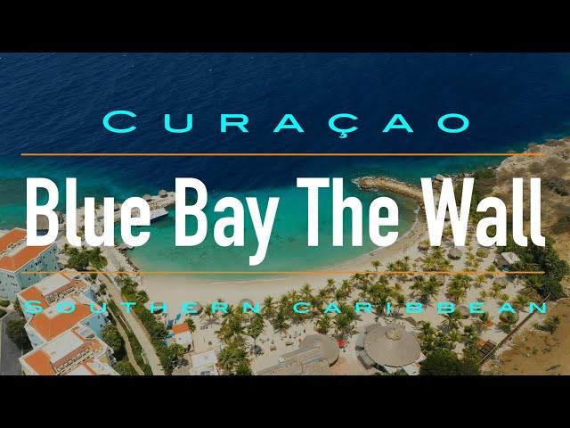 The Wall Dive Site at Blue Bay Curacao | Curacao Dive Guide | Dive Travel Curacao