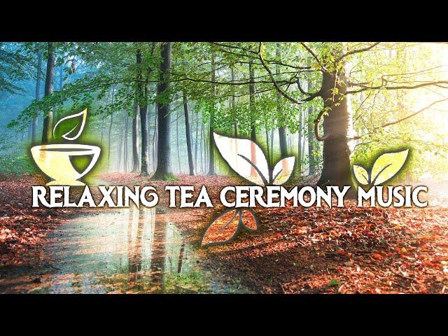 Japanese Music Tea Ceremony ● Nature Inspiration ● Morning, Zen Meditation Music for Yoga 352