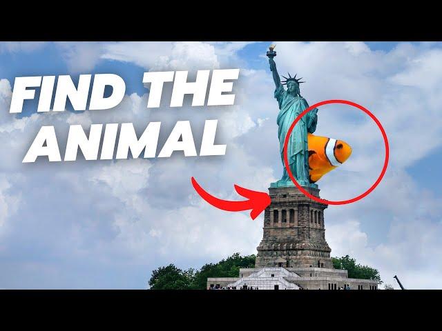 Find all the hidden animals - QUIZ