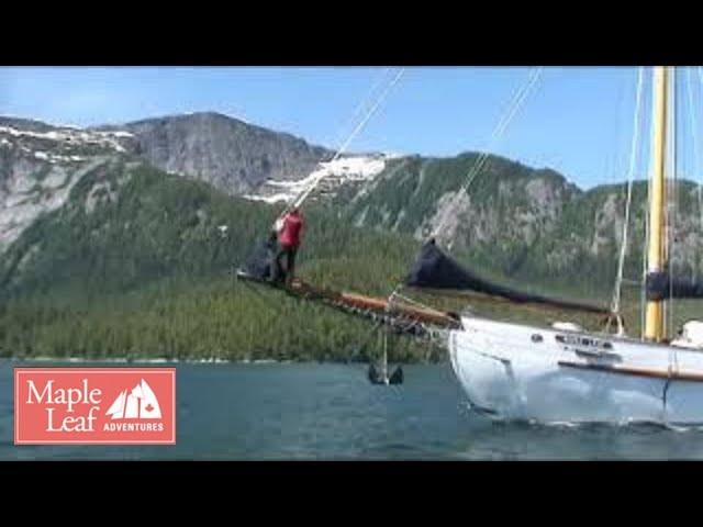 Small Ship Expedition: Cruising the Great Bear Rainforest