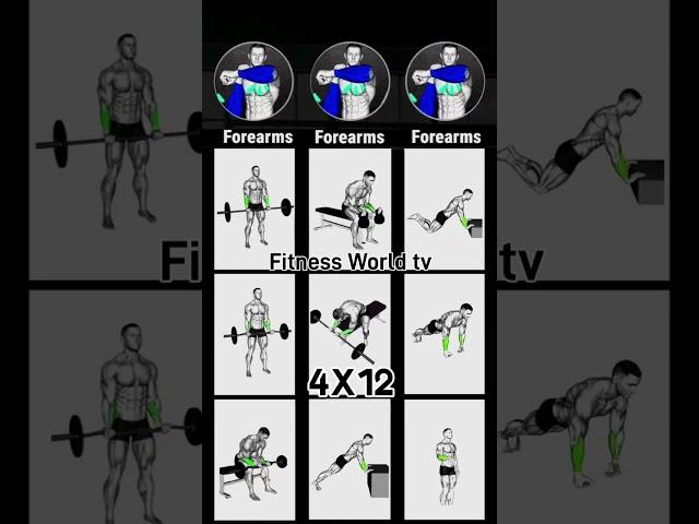 Forearms Workout l fitness World tv #forearms #forearmsworkout #bodybuilder #gymworkout #fitness