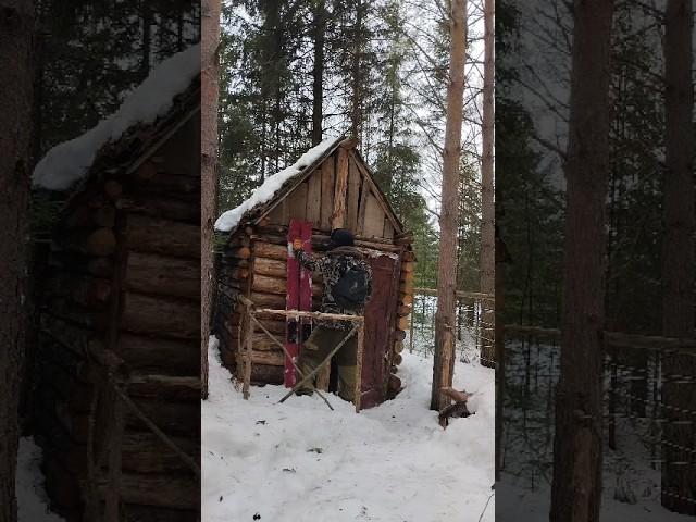 ПРОВЕДАЛ ХИЖИНУ В ЛЕСУ #землянка #хижина #изба #лес #поход #бушкарафт #тайга #весна #выживание