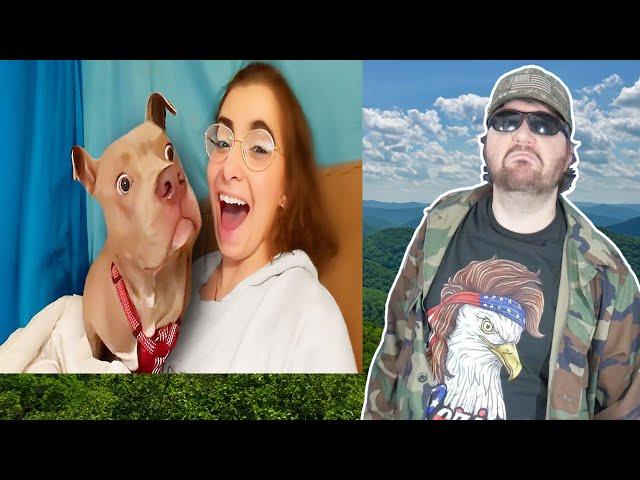 Best Dog Videos Of The Decade (Daily Dose Of Internet) - Reaction! (BBT)