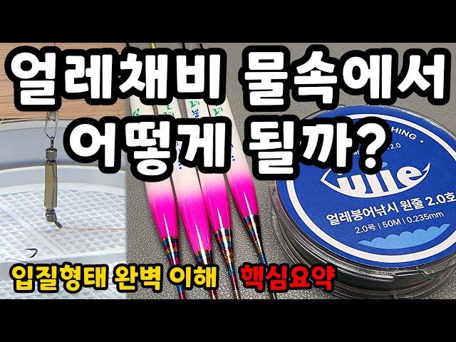 얼레채비 원리를 속 시원하게 보여드립니다 / 현존하는 예민한 붕어낚시 채비법 / 얼레채비법 완벽 이해