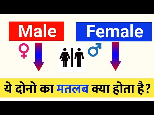 male female ka matlab kya hota hai | male female main kya select Kare | gender Kaise chune