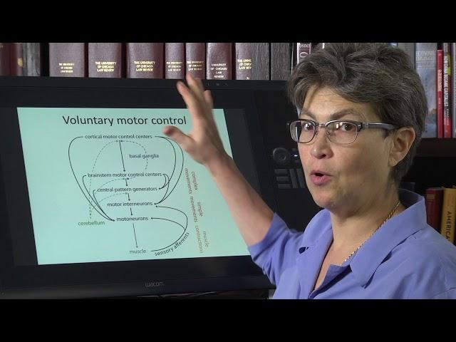 15.0 Introduction to Motor Control