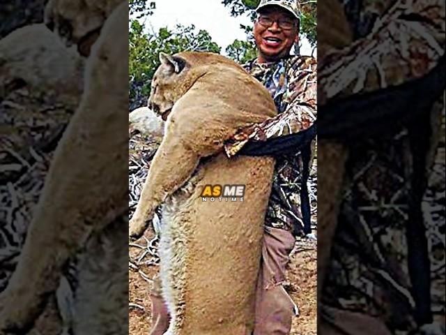 Giant Mountain Lion Freaks Out Joe Rogan