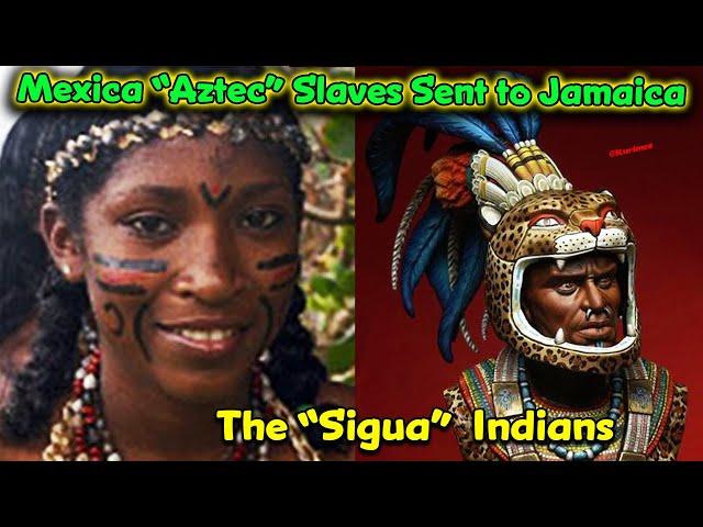 The Sigua / Mexica "Aztec" Warriors enslaved in Costa Rica and Taken to Jamaica / Montezuma's