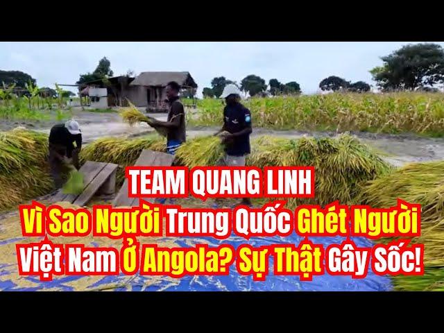 TEAM QUANG LINH Vì Sao Người Trung Quốc Ghét Người Việt Ở Angola? Sự Thật Gây Sốc!