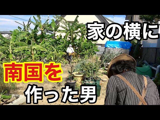 The man who made a tropical country next to his house. Japanese garden
