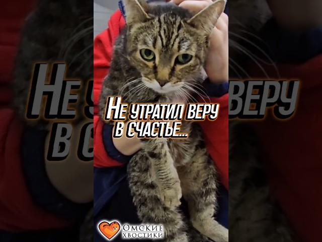 Не утратил веру в счастье... | Беня #помощь #спасение #добрыедела #приют #животные #омскиехвостики