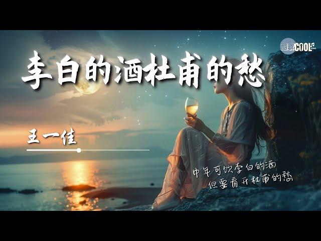 王一佳 - 李白的酒杜甫的愁「 人生繁华三千看淡既是云烟生活 有了苦和甜才有更好明天」看穿不必揭穿看透不如看淡【动态歌词 Lyrics】