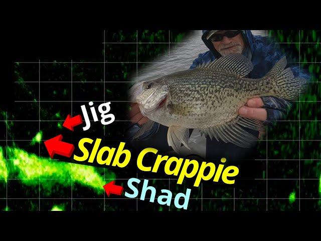 LIVESCOPE CRAPPIE SNIPING – RED HOT ACTION!!