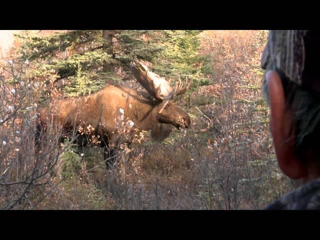 L'Homme Panache au Yukon 9