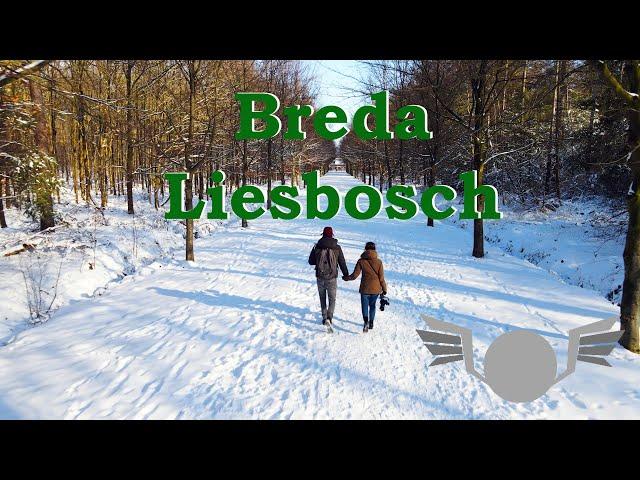 Breda Liesbosch onder een wit deken - droneshots - 09 feb 2021 HOGE KWALITEIT