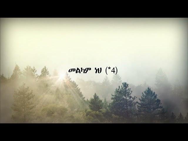 Fenan Befkadu መልካም ነህ (lyrics)