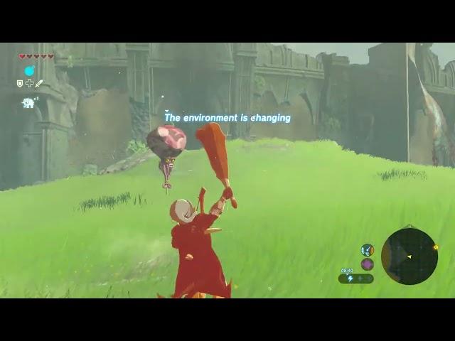 Octoroks have weird physics - Zelda Breath of the Wild